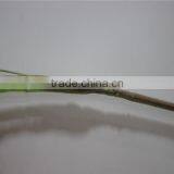 Hot Sale Brand Name Decorative Artificial Decoration Leaves thumbnail-3