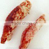 Hairy Snow Crab Antarctica thumbnail-5