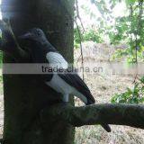 Full Body Flocked Magpie Decoy With Stake thumbnail-6