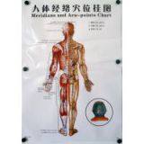 Acupuncture Points Charts Wall Form 7 Pages Paper (47cmX66cm) Meridian Chart Acupoint thumbnail-2