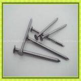 Hot Dipped Galvanized Common Wire Round Nail Manufacturers thumbnail-2