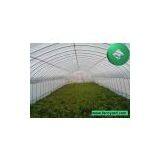 Economical Plastic Tunnel Greenhouse,Vegetable Greenhouse, Flower Greenhouse,