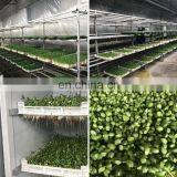 Best Price Livestocks Animal Feed Fresh Grass Fodder Sprout Hydroponic Machine thumbnail-4
