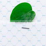 Denso Injector Pin E1022013 Diesel Fuel Injection Denso Pin thumbnail-3
