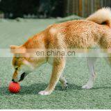 Elastic Pet Toy Ball Dogs Interactive Teasing Entertaining Toy Teeth Grinding Pet Supplies thumbnail-5