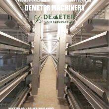 Layer Chicken Battery Cage Automatic Equipment thumbnail-1