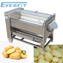 Potato Peeler Machine Manufacturers in Mumbai|Potato Washing Peeling Machine Hot Sale thumbnail-1