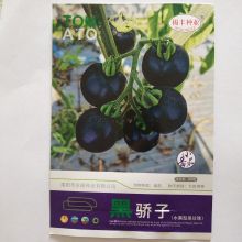 Disease resistant black tomato seed best hybrid Vegetable black tomato seeds for sale