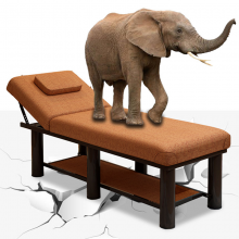 Physical Therapy Bed thumbnail-4