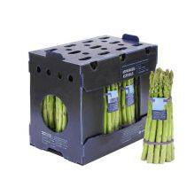 Wholesale Corrugated Plastic / Coroplast Boxes for Fruit and Vegetable thumbnail-2