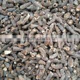 Bulk Dried Morels Mushroom Price From China