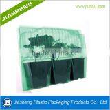 Calathea Plant Assortment Blister Packaging