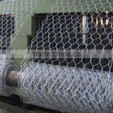 Chicken Coop Hexagonal Wire Mesh