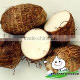 new crop China fresh taro