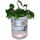 High Quality DC-12V 3L 6L RGB Led Light Mini Fish Tank Led for Water Tank