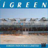 Automatic Glass Greenhouse thumbnail-4