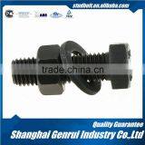 Hardened and Tempered 10.9 DIN933 Black Wing Nut Screw and Nut