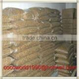 Mealworms for Sale Australia/where do Meal Worms Live/mealworms for Sale thumbnail-1