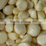 2014 Chinese Fresh Peeled Garlic , Peeled Garlic Cloves thumbnail-2