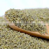 GREEN MILLET IN HUSK FOR BIRD FEEDS thumbnail-2