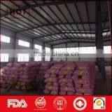 Organic One Bulb Fresh One Clove Garlic thumbnail-6