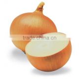2012 yellow onion in 10kg mesh bag package.MOQ:1X40FCL.