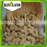 Crop Top Peanut in Shell thumbnail-5