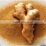 Ginger Powder