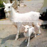 Realistic Taxidermy Replica Wholesale Goat Toy Sale thumbnail-1