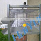 China Laying Cages for Quail thumbnail-1