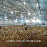 Cheap Automatic Poultry Equipment for Broilers