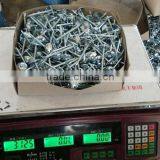 Electro Galvanized 2.5 Inch Screw Shank Twisted Roofing Nail thumbnail-6
