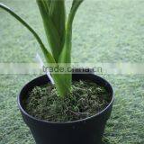 Brand Name Artificial Bonsai Plants Artificial Wild Taro Bonsai Decor thumbnail-3
