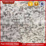 China Bianco Sardo Granite Countertop With Lower Price thumbnail-4