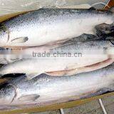 Atlantic Salmon thumbnail-2