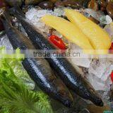 Seafood Herring Fillet thumbnail-1