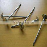 Bright Spike Nail thumbnail-1