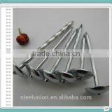 Roofing Nails Umbrella Head/Galvanized Roofing Nails Price/Roofing Nails thumbnail-5