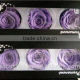 Red Preserved Rose A Grade 6 to 7 cm Bud With Wholesale Price thumbnail-4