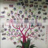 Guangdong BaiHua Science And Technology Co., Ltd. company overview - view 2 thumbnail