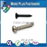 Made in Taiwan Phillis Recess Raised Countersunk Oval Head Tapping Screw thumbnail-4