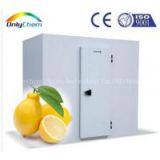 Cold Room for Lemon thumbnail-1