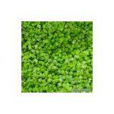 Sell Frozen Kiwi thumbnail-1