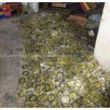 Clutch Disc Assy of Good Quality for Mexico, PERU COLOMBIA BRAZIL thumbnail-2