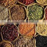 Professional Sieving Machine for Rice / Millet Winnowing Machine for Home Used /cocoa Winnower Machine thumbnail-5