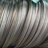 ASTM A269 TP316/316L Seamless Stainless Steel Coiled Tubing thumbnail-1