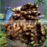 Chinese Red Fuji Apple/Apple Fresh thumbnail-5