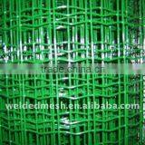 Dutch Welded Wire Mesh(factory and Seller)