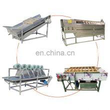 Fruits Vegetable Apple Washing And Drying Machine Washing Production Line thumbnail-5