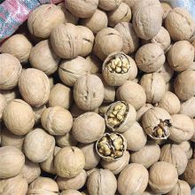 33 Walnut Inshell      Sansan walnut       Walnut Inshell manufacturer in China